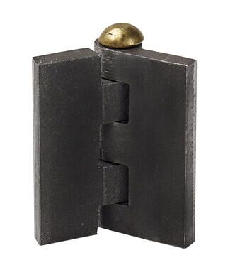 Pommier charnière de porte 50 x 50 x 5.5 mm (LxlxÉ) - avec hache et laiton - acier