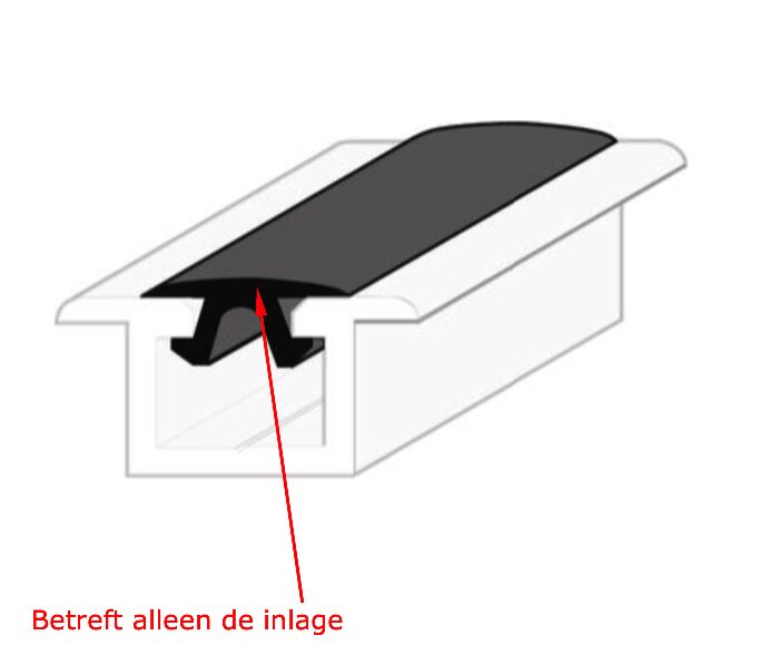 Pommier stootlijst inlage - voor stootlijst 1835107 - zwart - 5 meter