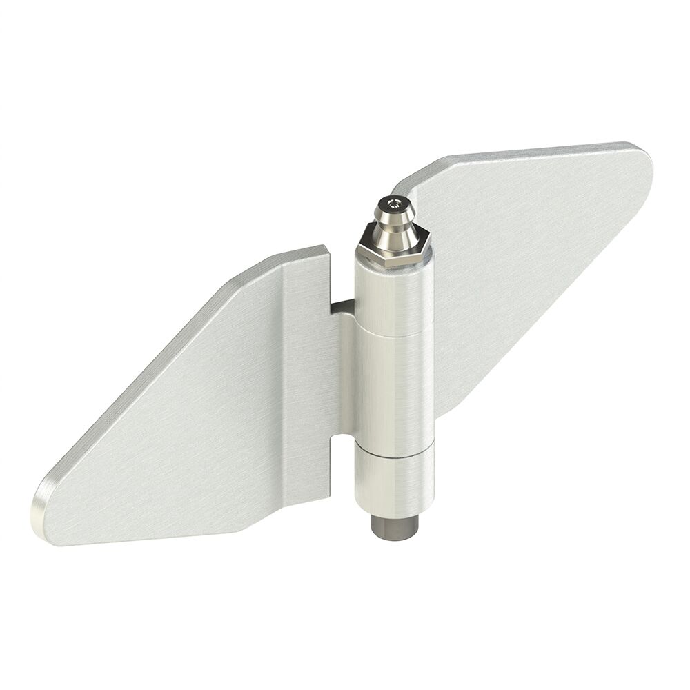 Rhiwa Quality charnière de porte latérale papillon - 144 x 50 mm - diamètre 20 mm - galvanisée
