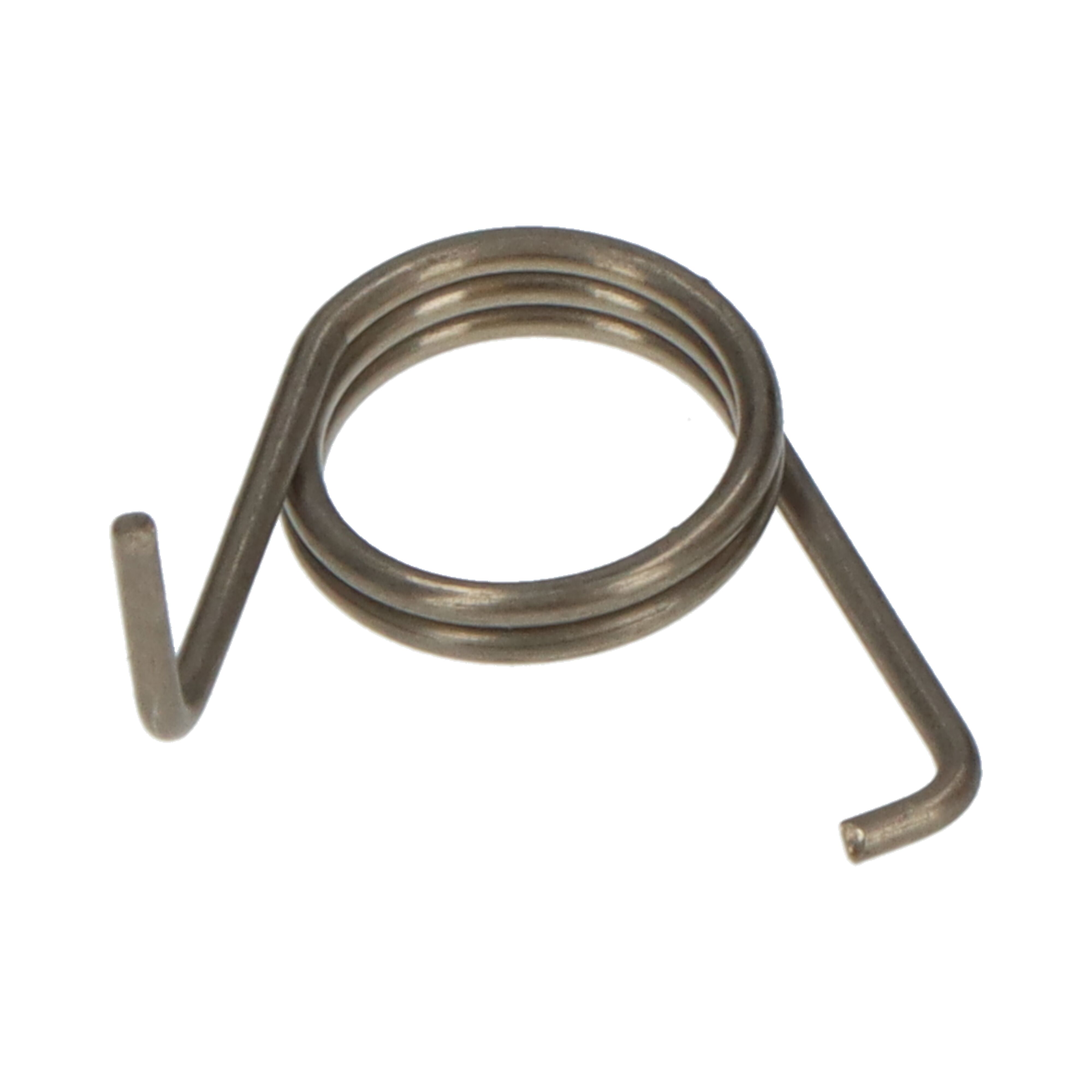 GATELOCK cam retainer spring