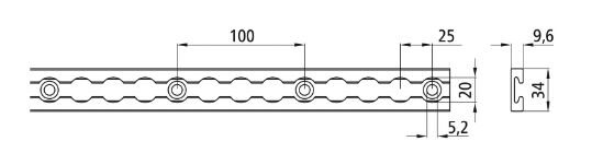 Rhiwa Quality rail d'ancrage - trou Ø 20 mm - 2000 mm - encastré ou en saillie