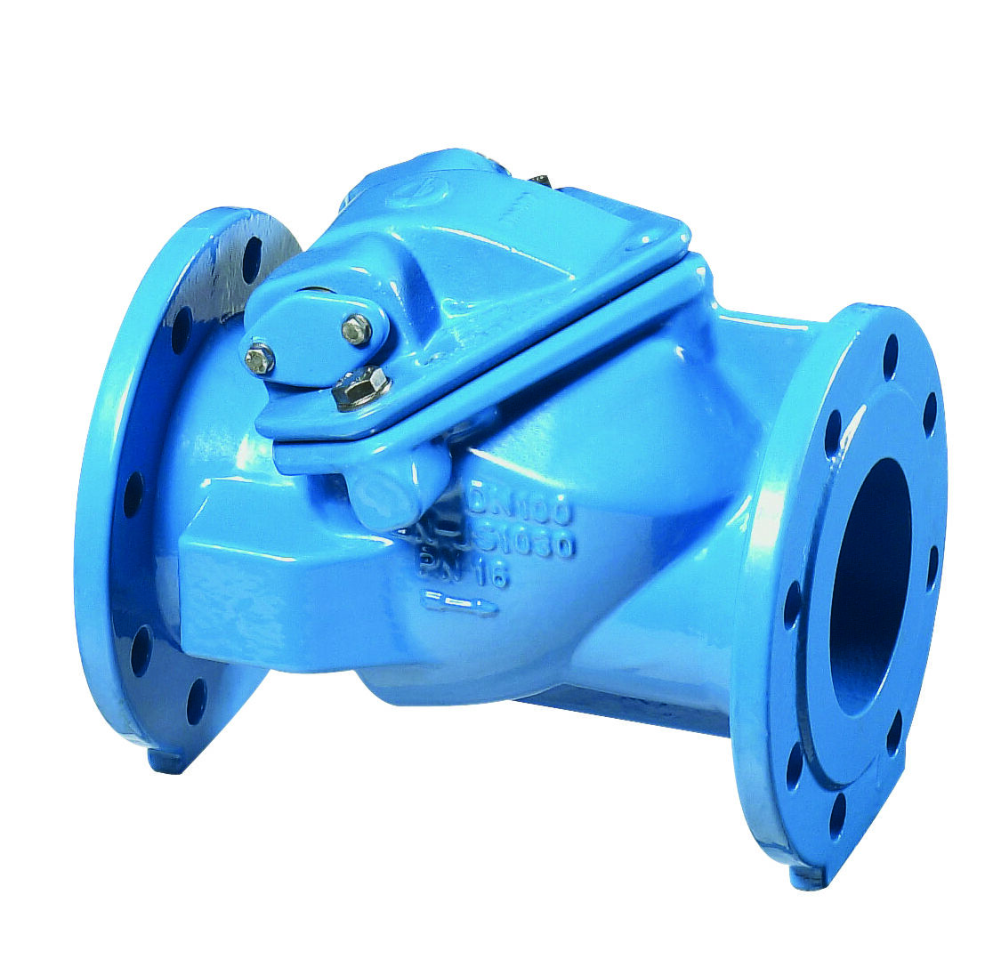 Erhard check valve swing EH7495 DN250 PN10 600mm with lever and weight