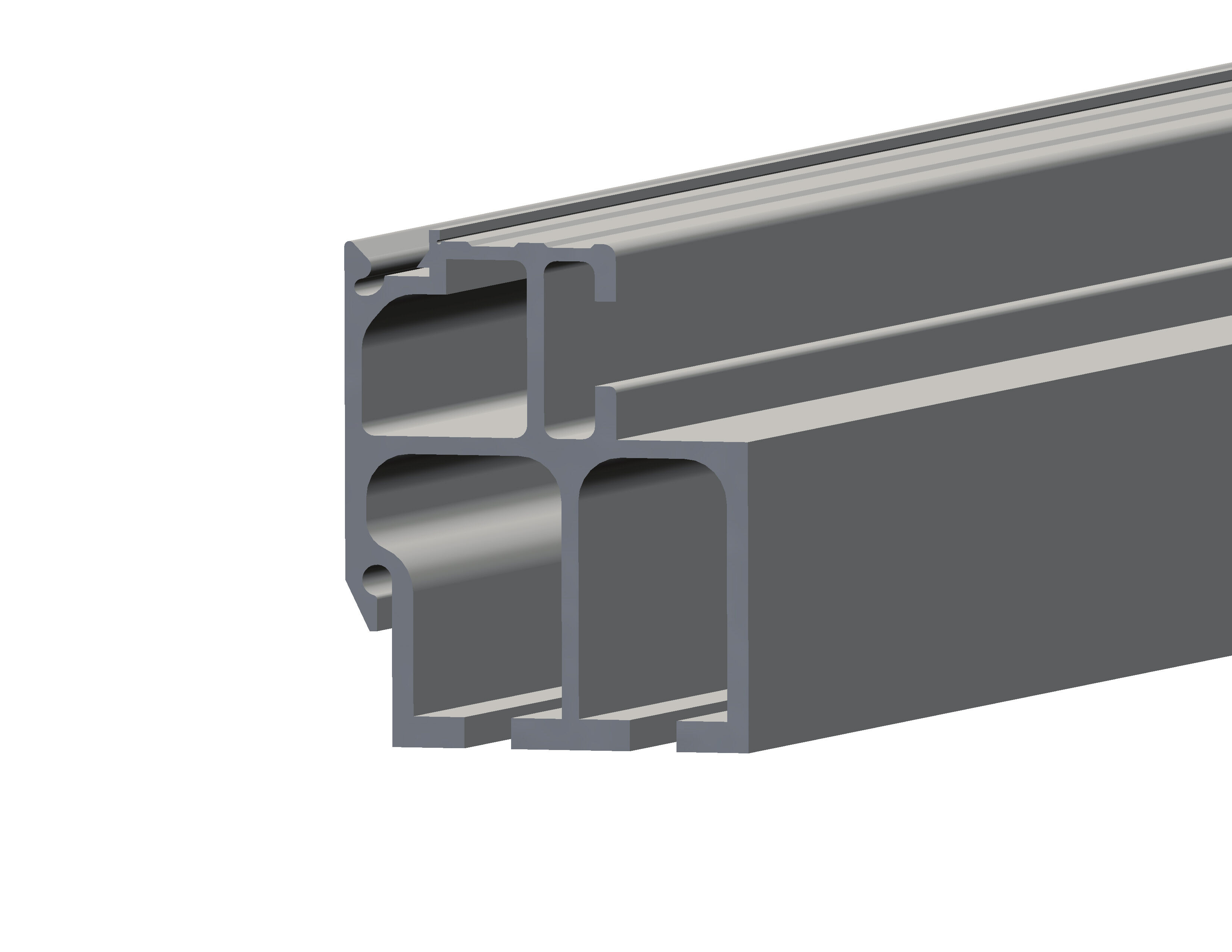 Rhiwa Quality looprail 11000 mm - vastdak RHX uitvoering - aluminium