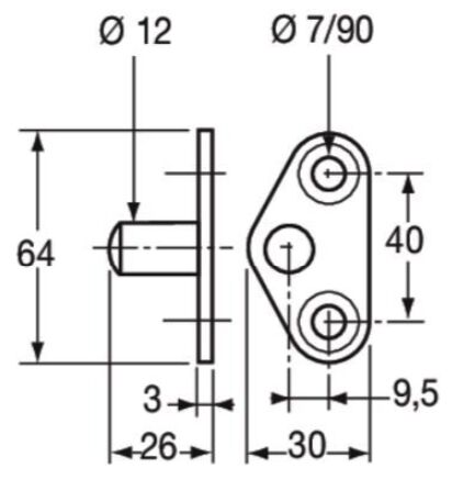 Pommier slotvanger - voor portierslot 1202307 /08 en 244770227 /508 - verzinkt