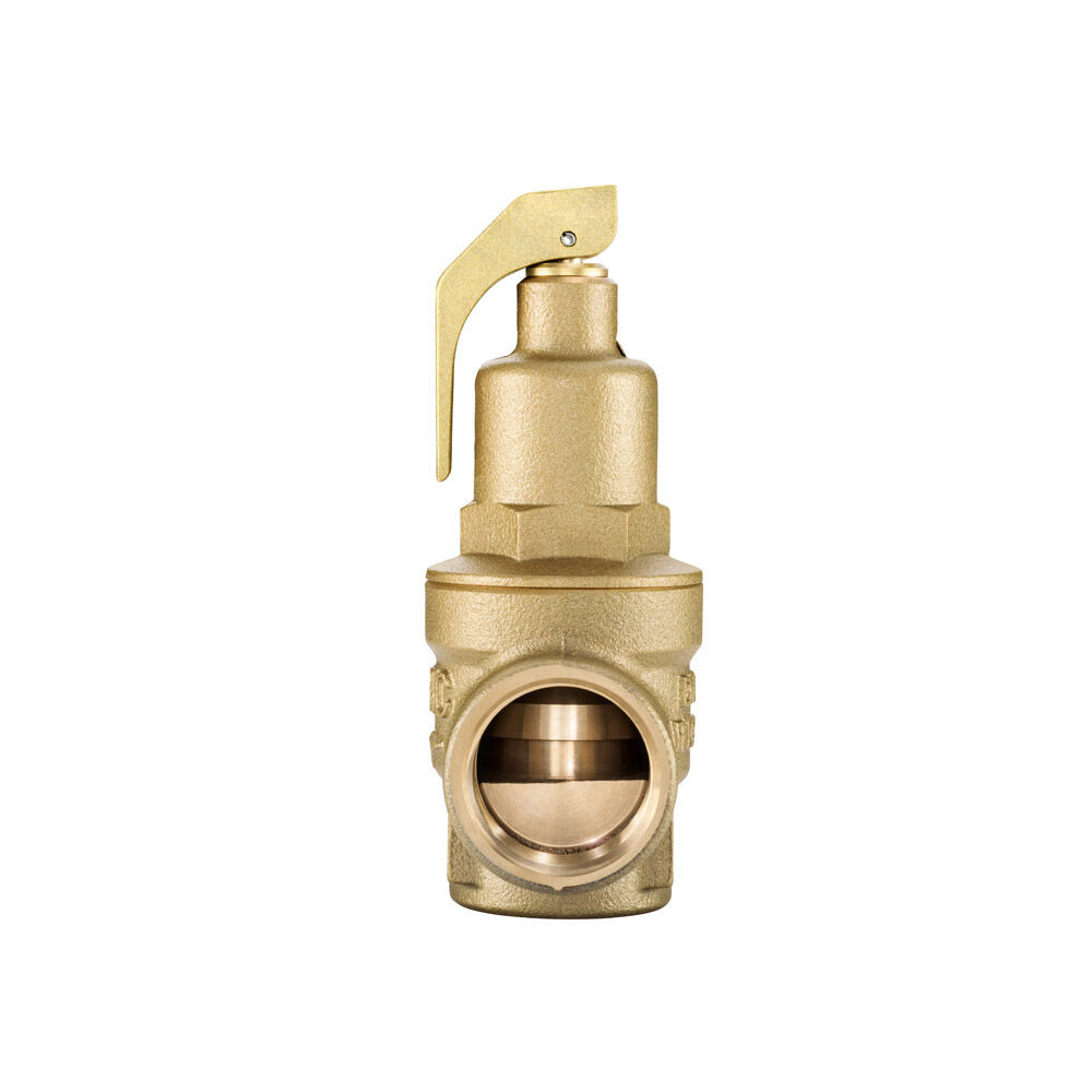 NABIC safety relief valve 542